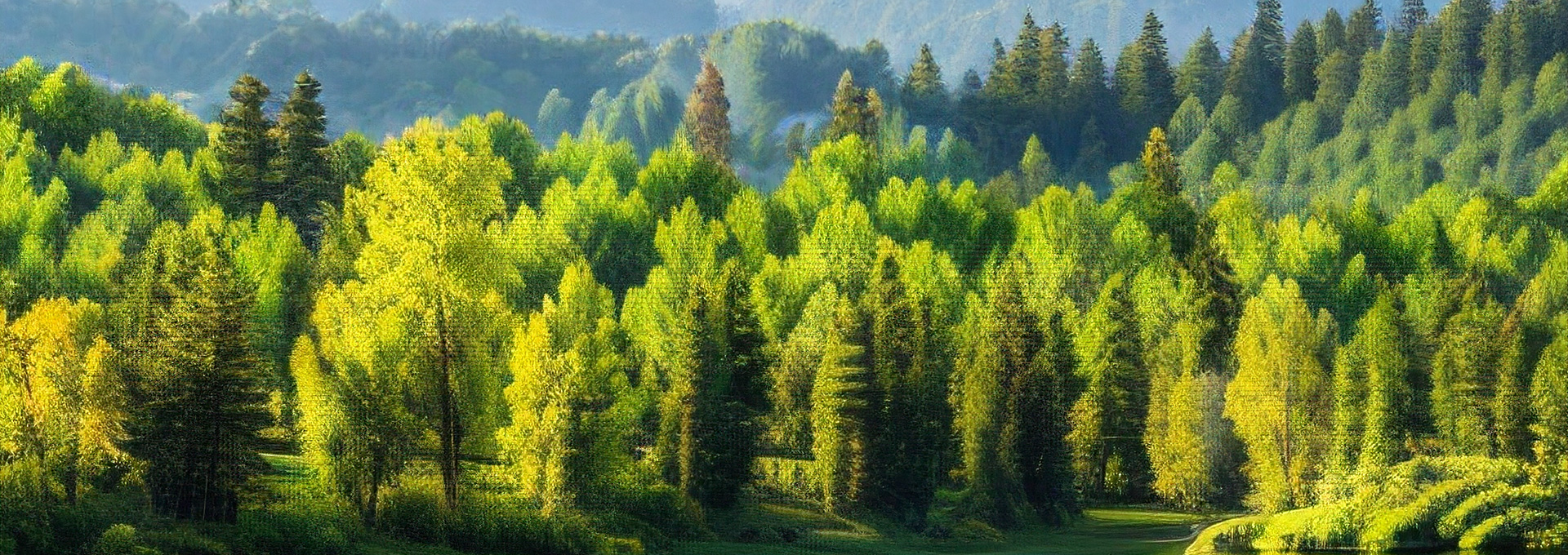 Development Direction