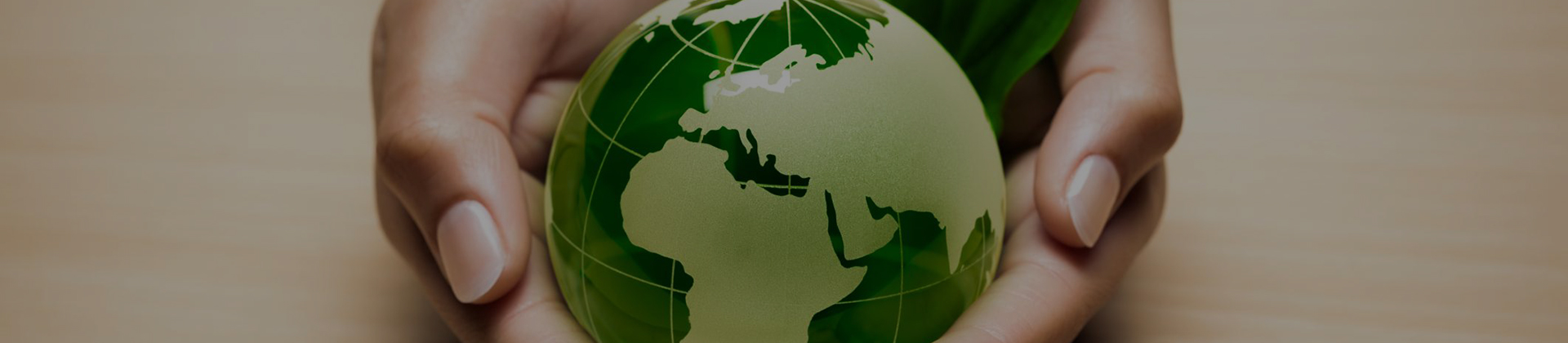 Environmental Protection and Sustainability - Banner