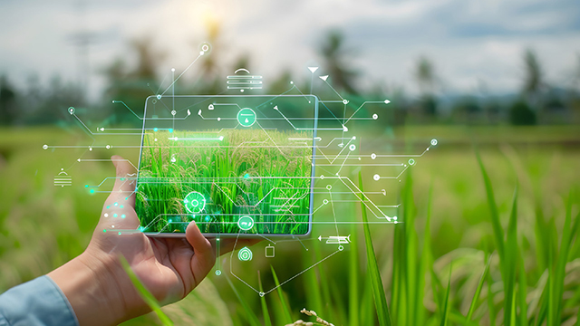 Intelligent digital operation